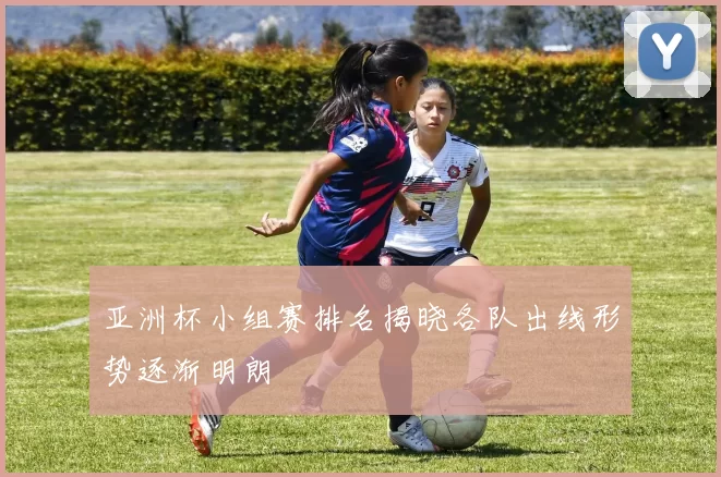 亚洲杯小组赛排名揭晓各队出线形势逐渐明朗