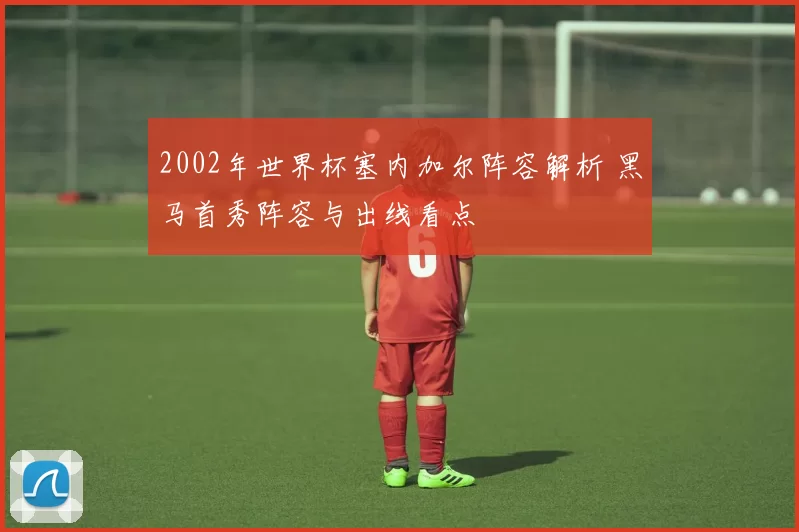 2002年世界杯塞内加尔阵容解析 黑马首秀阵容与出线看点
