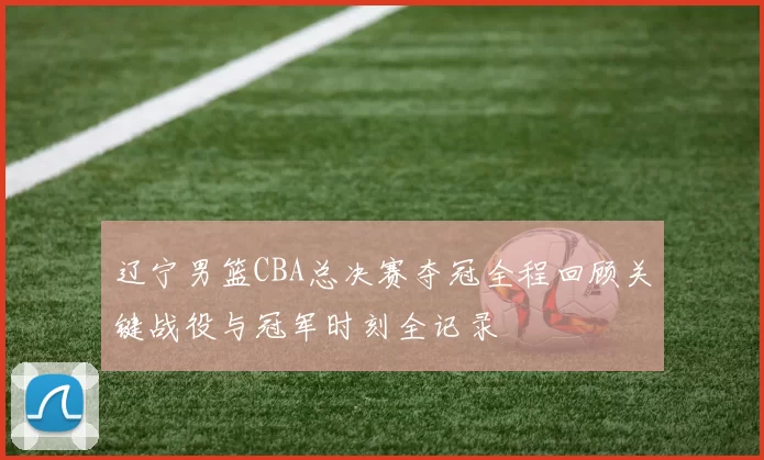 辽宁男篮CBA总决赛夺冠全程回顾关键战役与冠军时刻全记录